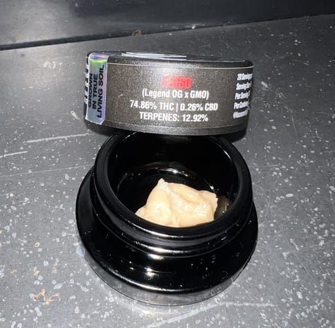 Focus North | Fatso Live Rosin | 1g