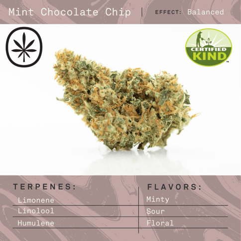 Apothecare Certified Organic Mint Chocolate Chip 28g