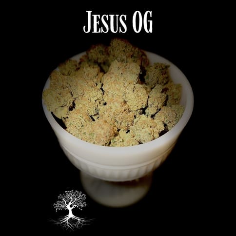 Buds - Jesus OG