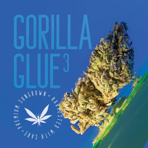 Gorilla Glue 3 - Grasshopper Farms - Outdoor - Bulk Flower**