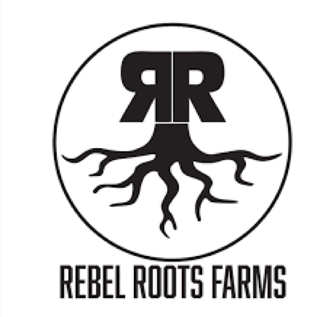 Multistrain 1:1 THC/CBD RSO 1G  (Rebel Roots)