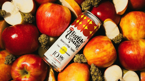 Honeycrisp Apple | Hang Ten | Seltzer | 10mg