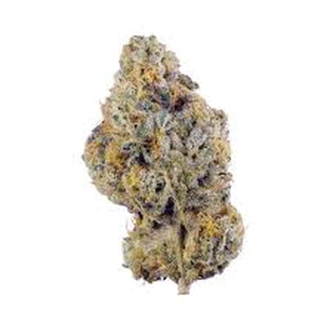 RD - GELATO POP - BULK PLATINUM TIER BUD