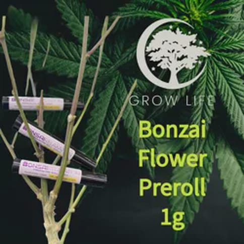 Bonsai Pre-Roll Banana OG Creativity 1g (REC)
