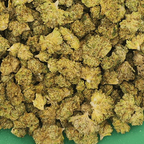 GreenCo | Trop Cherry | Sativa-Hybrid | 28g | Flower