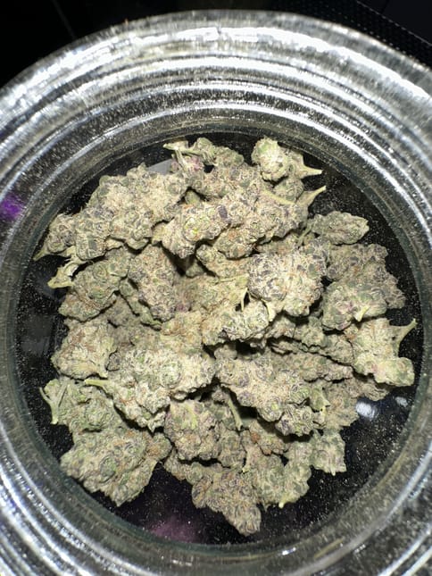 Bus Down Buds