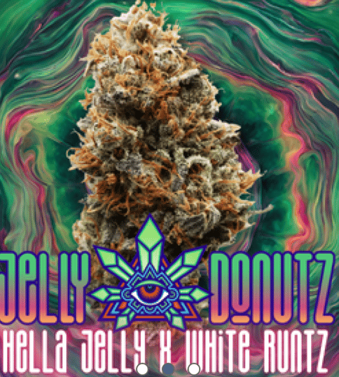Jelly Donutz - 3.5g