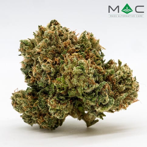 Cherry AK-47 x Jungle Cake - Half Ounce - 14g