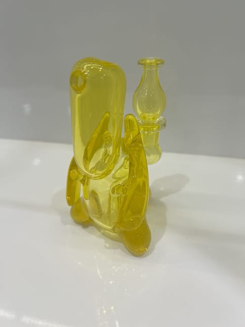 Camp Glass - Terps mummy