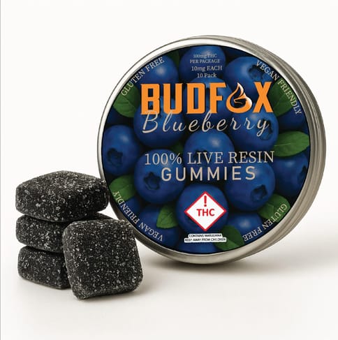 Blueberry BudFox 100MG Edible