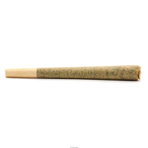 Jack Herer - Papaya Punch - 6pk Infused PreRoll