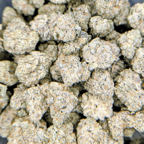 Black Lava Cake - Deli Flower - $6/g
