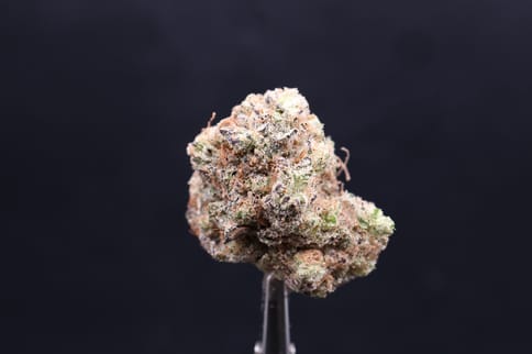 Resin Ranchers | Hash Burger