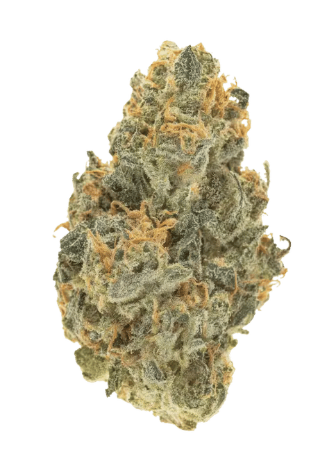 Marrion Berries- Hybrid