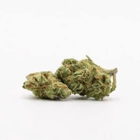 Super Silver Haze | Pleasantrees | Smalls | 3.5g