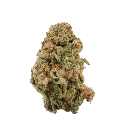 Slurricane - LL - 3.5G