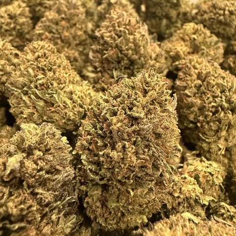 White Widow