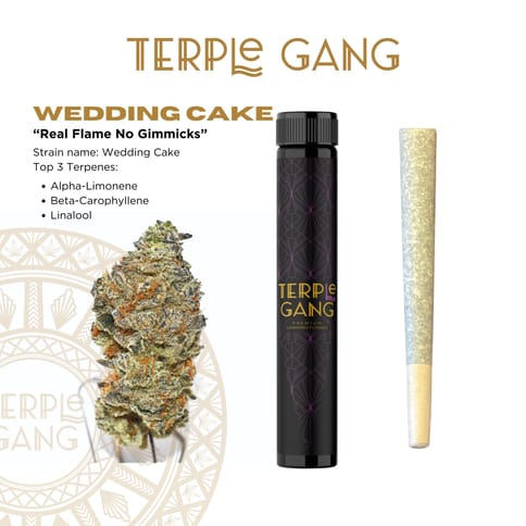 TERPLE GANG | WEDDING CAKE BX1 | 1G | PREROLL