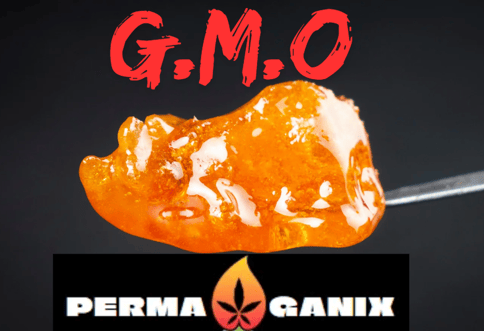 GMO Rosin Perma Ganix