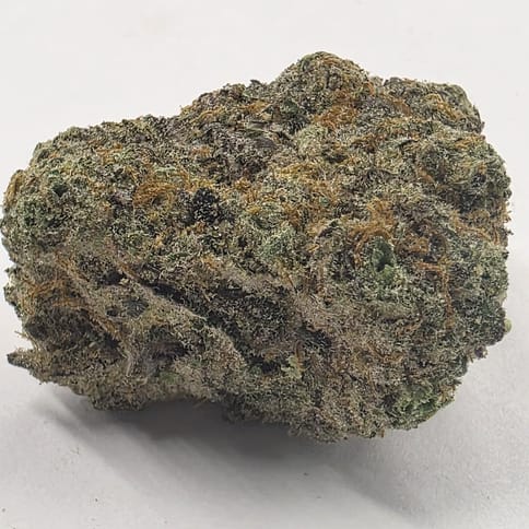 Portal Cannabis | Kush Mintz