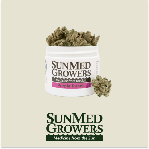Purple Punch | Flower