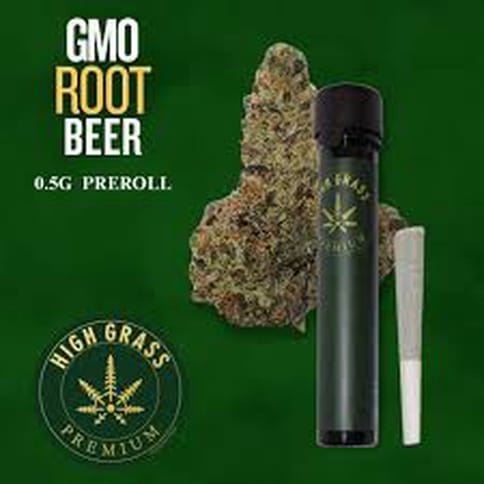 GMO Rooter | 0.5G Mini | Indica