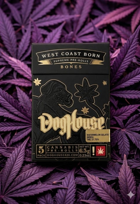 DogHouse - Scooby Snacks x Sour Diesel #2 - 1g 5pk