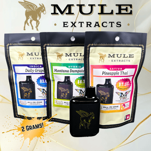 Mule - Orange Apricot MAC - 2g Live Resin Dank Tank