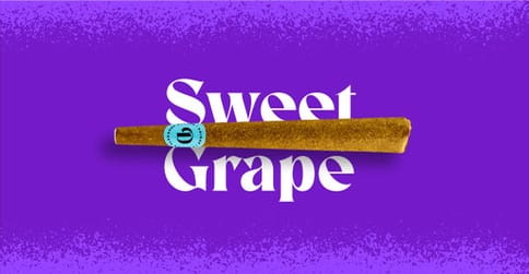 Sweet Grape 1G Doinks Blunt