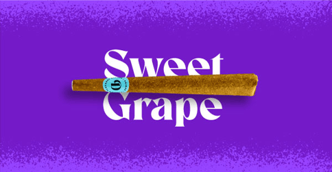 Sweet Grape 1G Doinks Blunt
