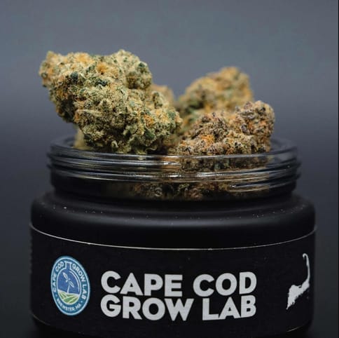 Flower | 3.5g | Hybrid | Cape White Shark