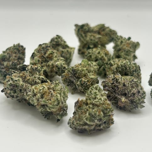 Sweet Pie by Flower Mountain Farms