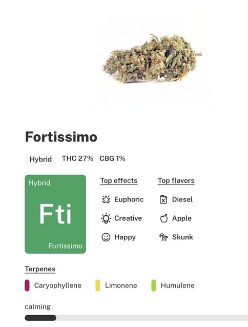 Fortissimo