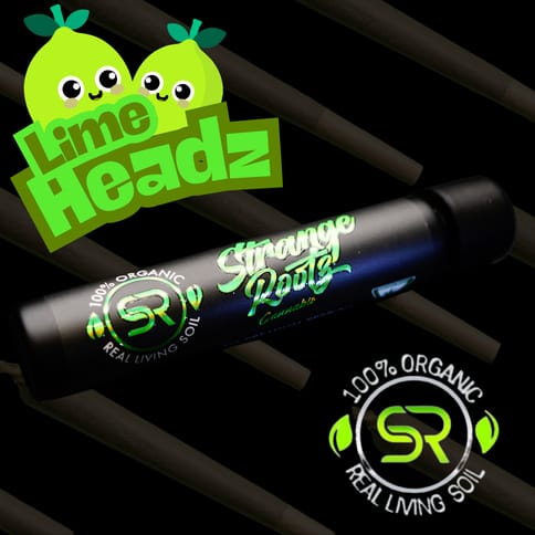 Lime Heads (Pre Rolls)