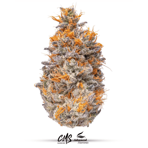 Artificial Red - 3.5g