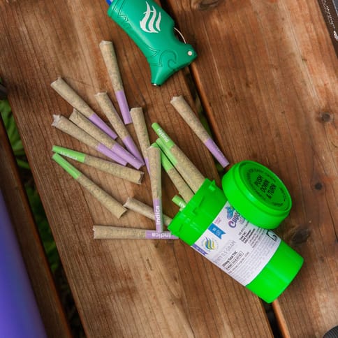 Great Northern Cannabis | Super Lemon Haze / Tundra Berry | Day / Night Prepper Pack Prerolls | 20pk | .5g