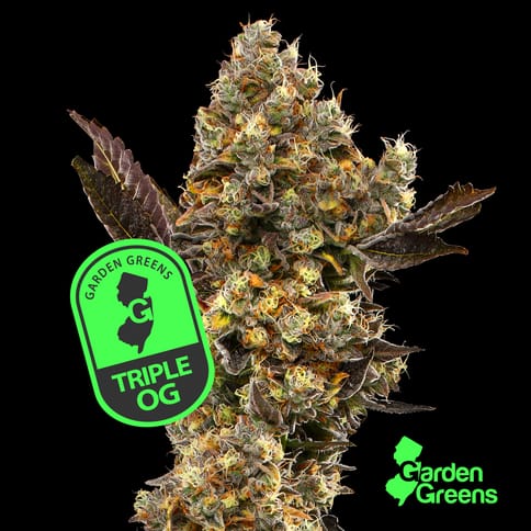 Garden Greens - Triple OG Big Buds 3.5g