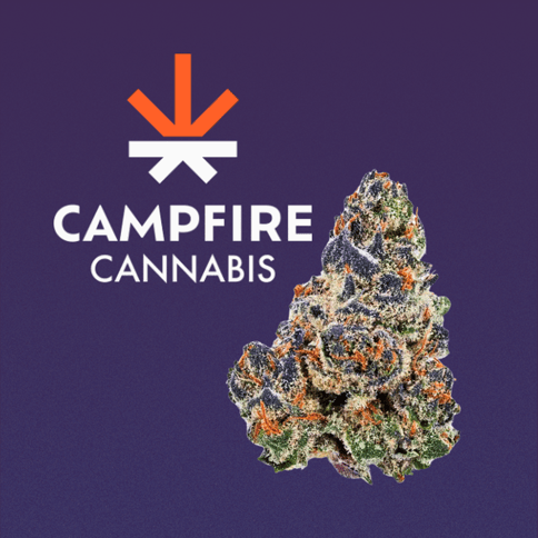 Grape Cream Cake | 4gm