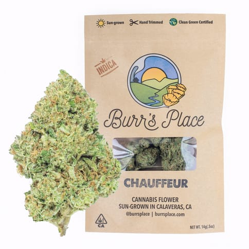 Burr's Place | Chauffeur (I) | 14g Sungrown Flower - BOTH - 14.0g - Packed