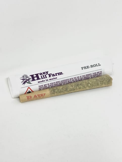 Hazy Hill Farm | .6g 1.25 Preroll - GMO