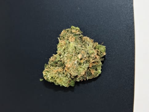 Bud & Mary's | Bulk | Blue Dream