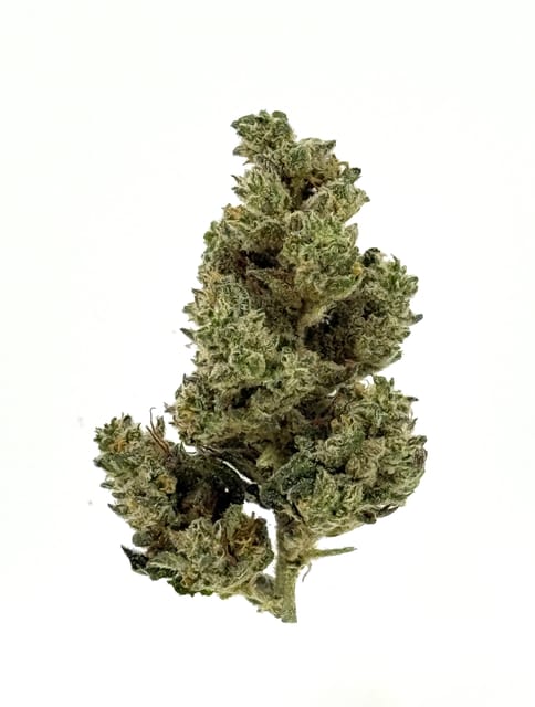 GMO x OZ Kush