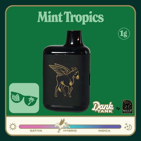 Mule Live Resin Dank Tank | Mint Tropics Hybrid 1g
