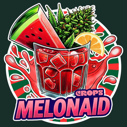 Crops - Ready To Roll - Melonaid - 7.0 g