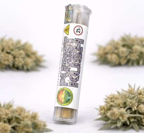 Purist Kush - 1g 2Pk - Pre-Rolls - Kief Infused