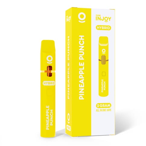 Pineapple Punch - 1G - All In One