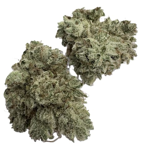 Deep Creek | GG #4