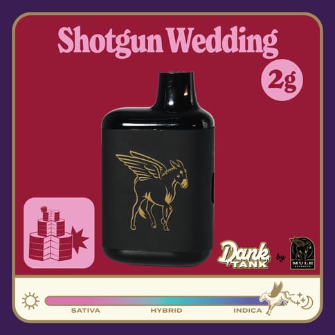 Shotgun Wedding 2g Live Resin Dank Tank Disposable (Mule)