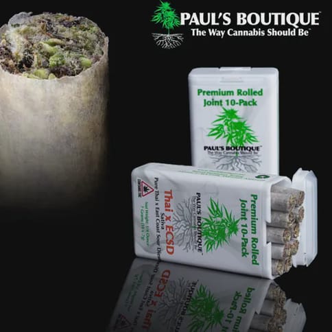 Preroll | 10 pack | Cadillac Rainbow