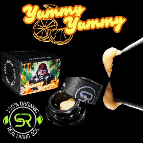 Yummy Yummy 1g Rosin